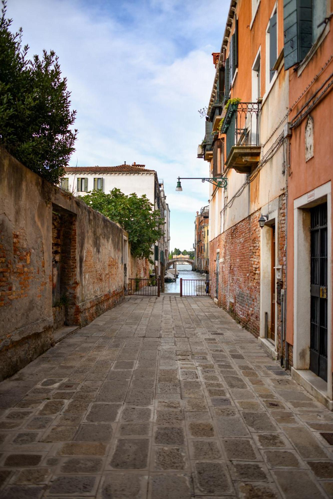 Venice Parsley エクステリア 写真